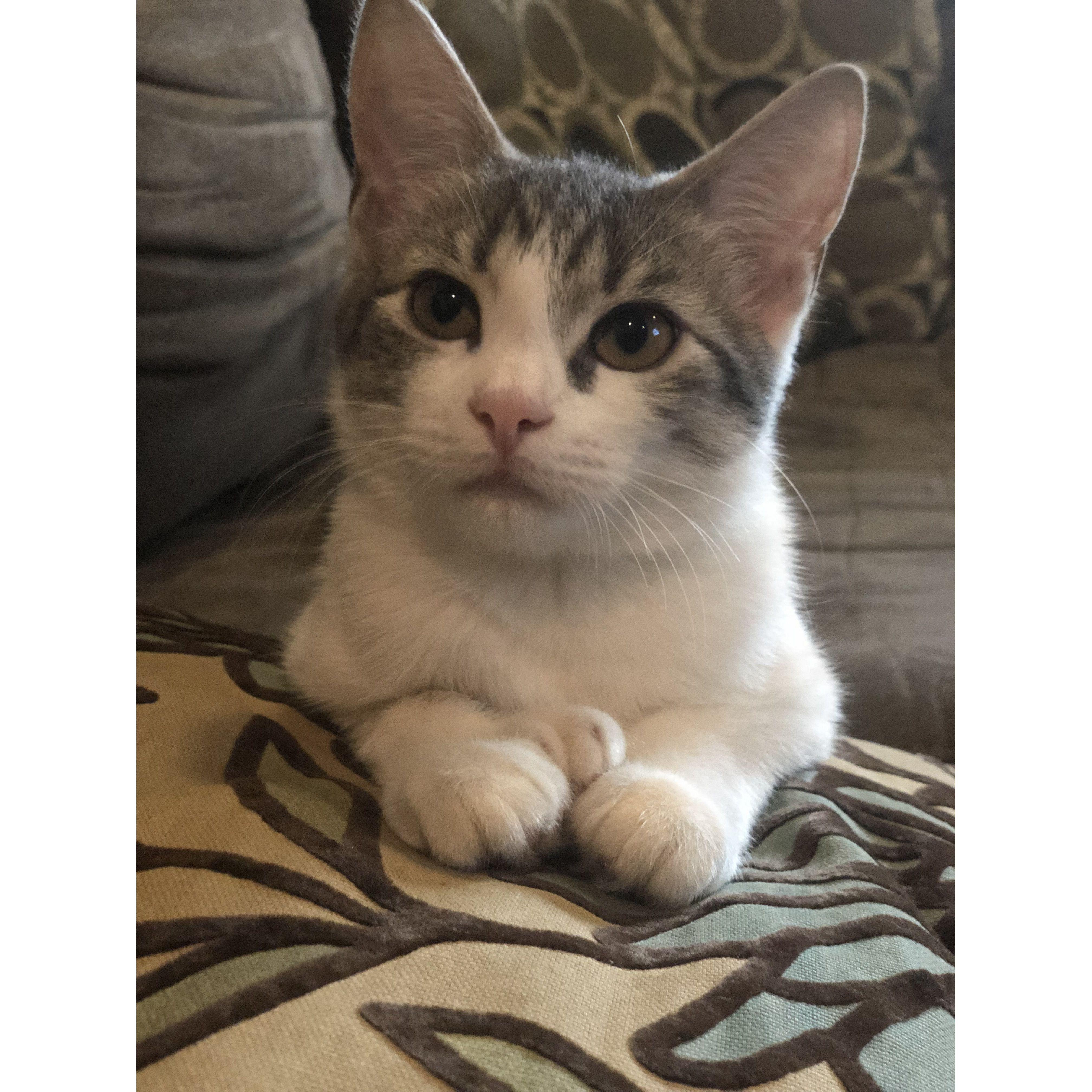 Our Bella baby