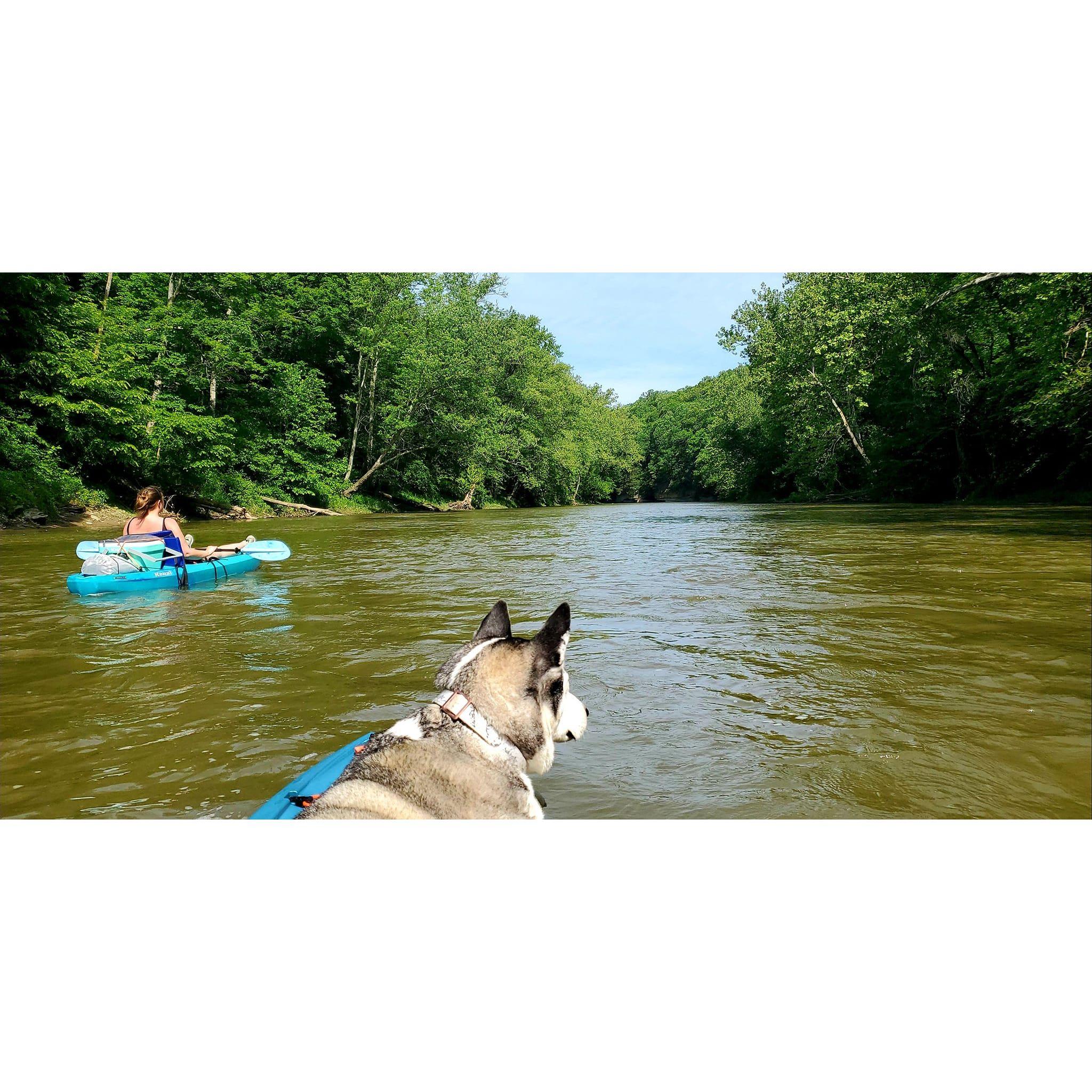 Kayaking on the Current River. Where you will catch us every summer.