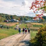 Cider Hill Farm