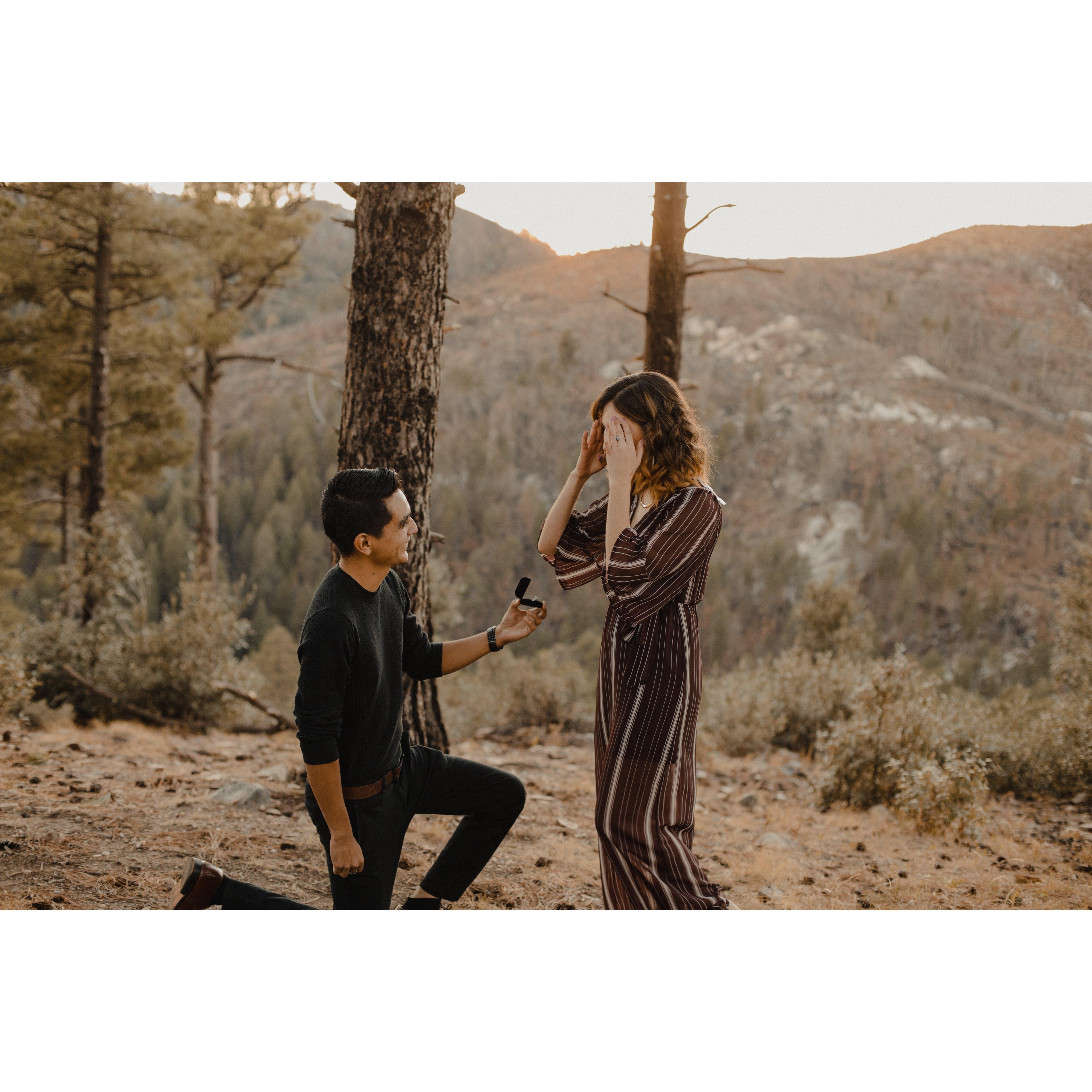 Joseph thinking.. "Will you Marry Me?"
Gizelle said, "Loco!" since he was on one knee without saying a single word yet