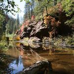 Oak Creek Canyon