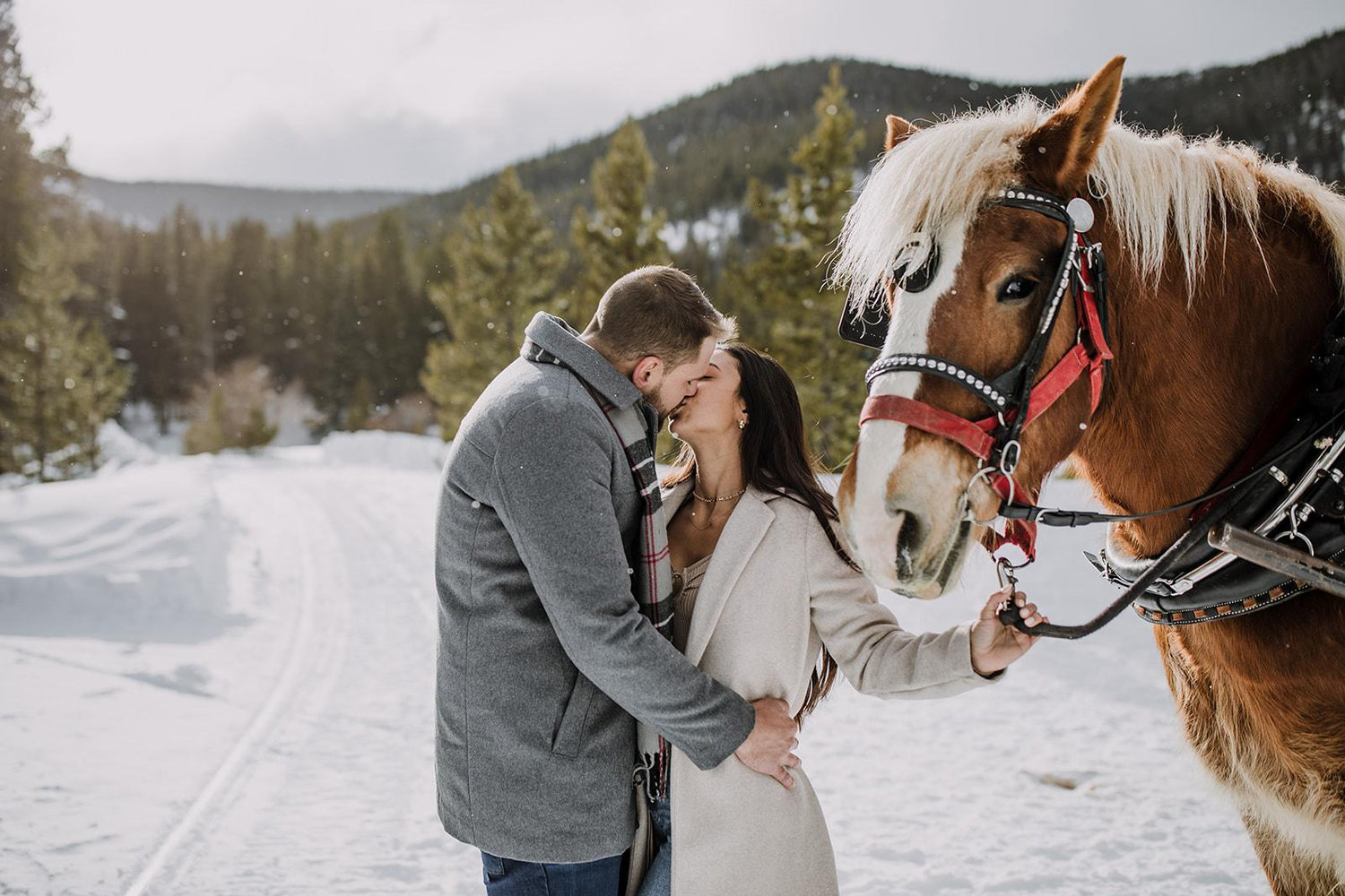 The Wedding Website of Brianna Cona and Craig Grippe