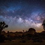 Stargazing Joshua Tree