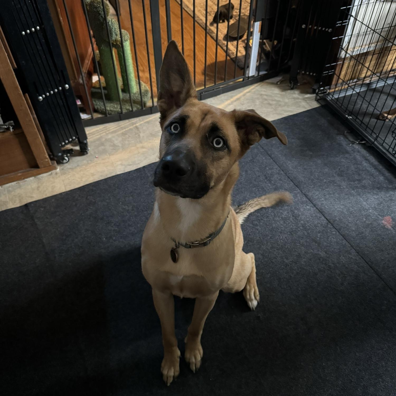 Lily (April 2024)