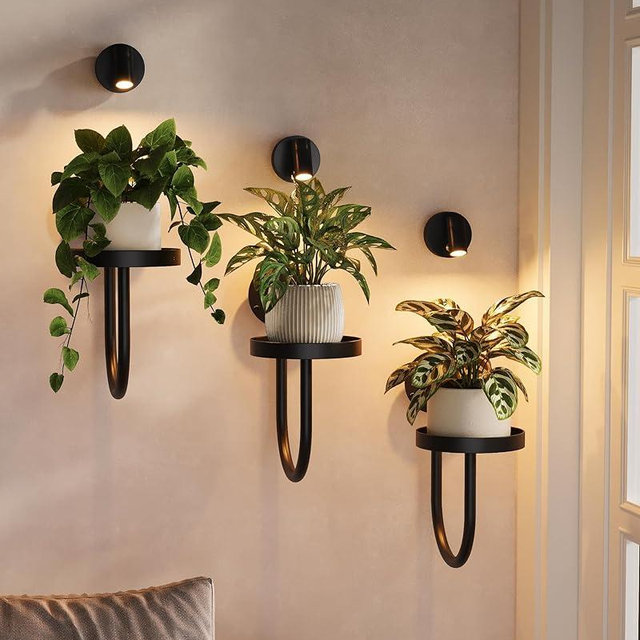 Bamworld Wall Decor Plant Stand with Lights Wall Art Planters Window Plant Hanger Indoor Hanging Planters for Indoor Plants for Living Room Black