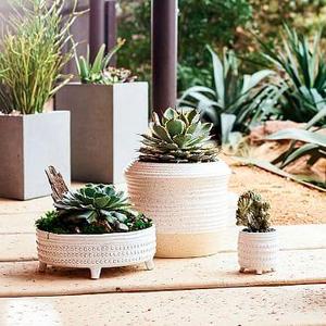 Elevado Centerpiece Bowl