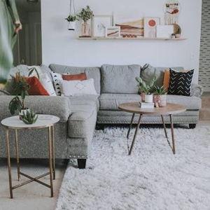 New carpet fund!
