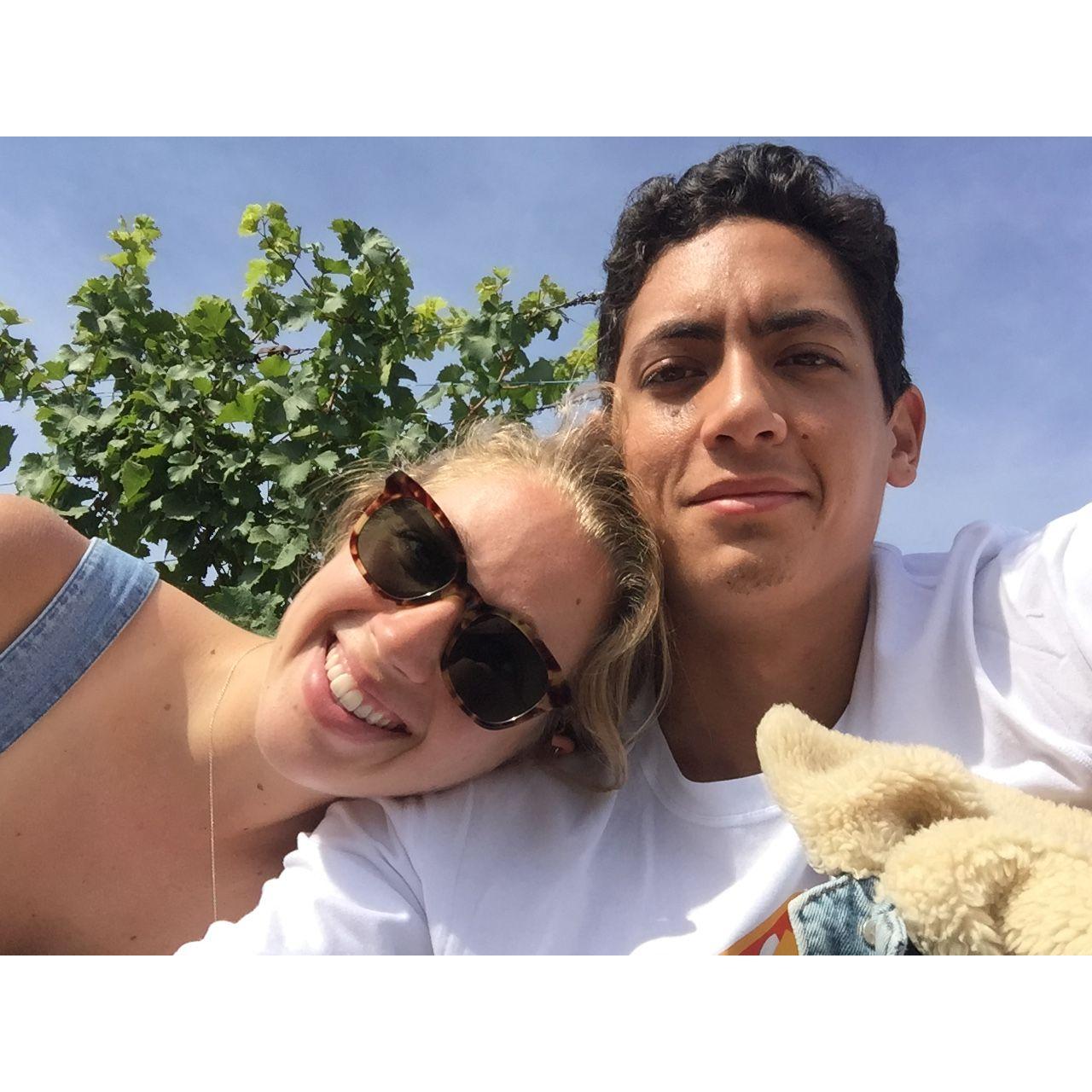 Picnic in French winery 2019