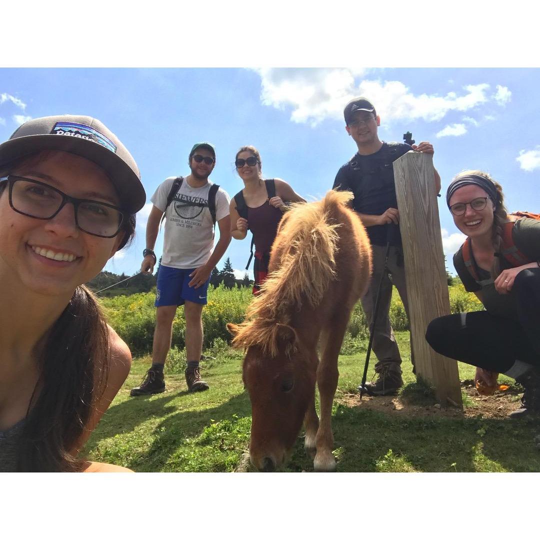 Camping at Grayson Highlands Park with the greatest friends 2018