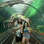 SeaWorld San Diego