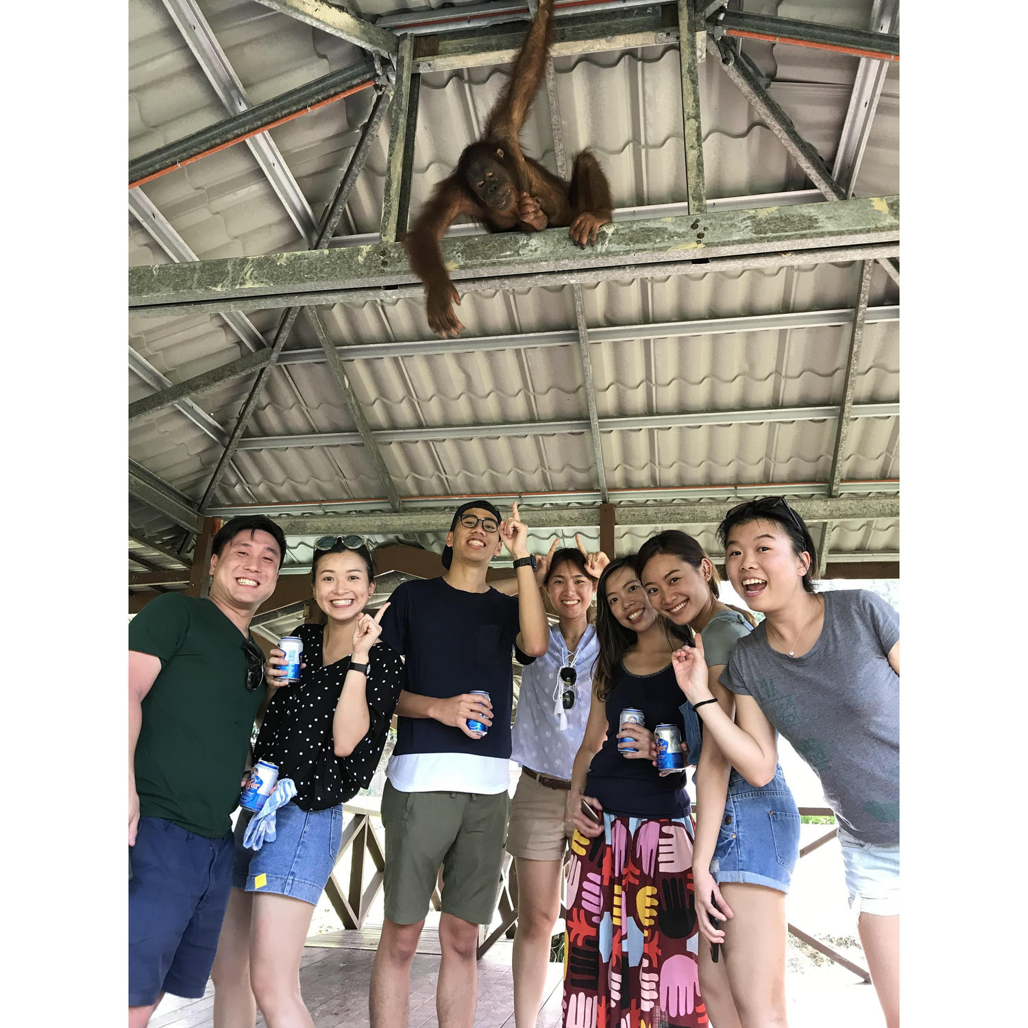 2019, Sepilok Orangutan Rehabilitation Centre Sandakan