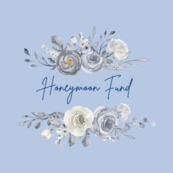 Our Honeymoon Fund
