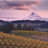 Hood River Fruit Loop