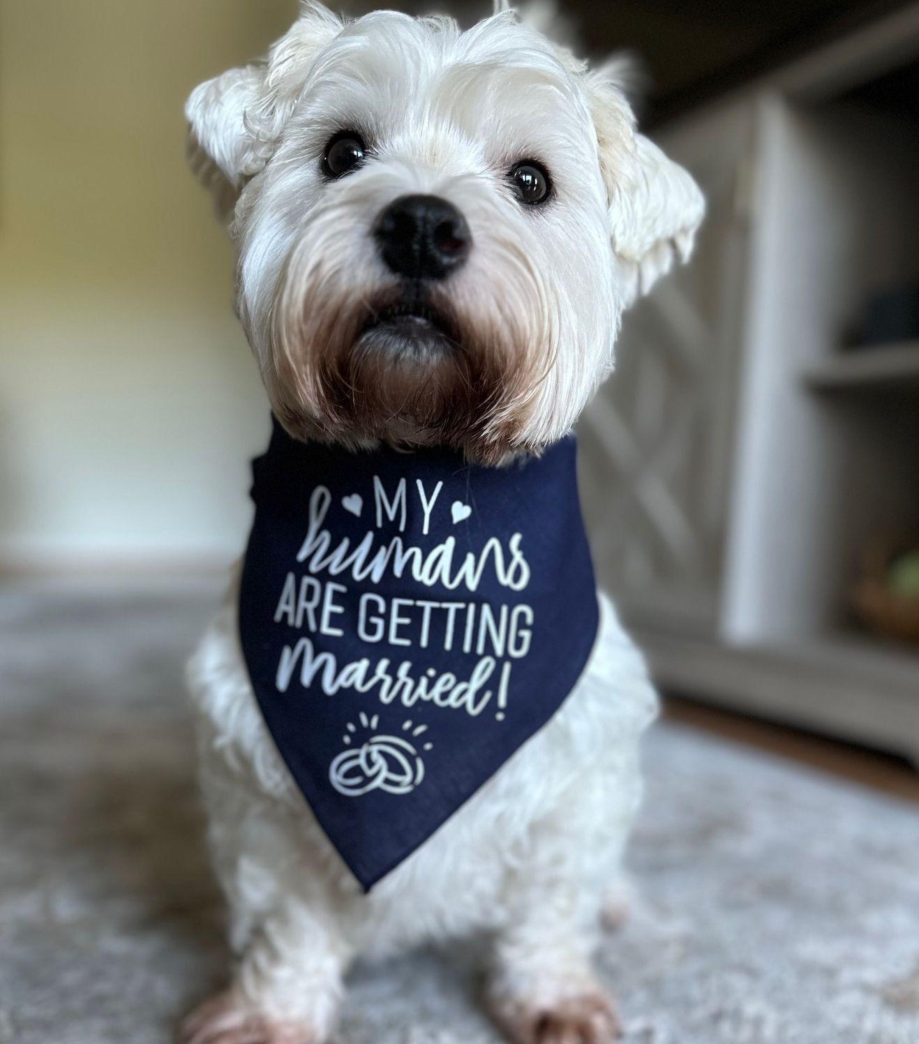 The Wedding Website of Kristin Gay and Zachary Donato