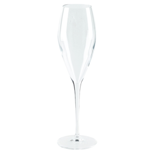 Copa de Champagne Atelier 9 Oz - 6 Unidades