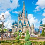 Walt Disney World Resort and Various Theme Park Attractions