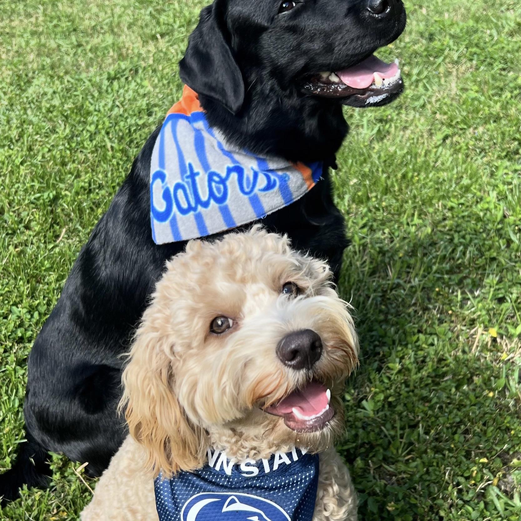 Our Pups on Gameday | September 2024