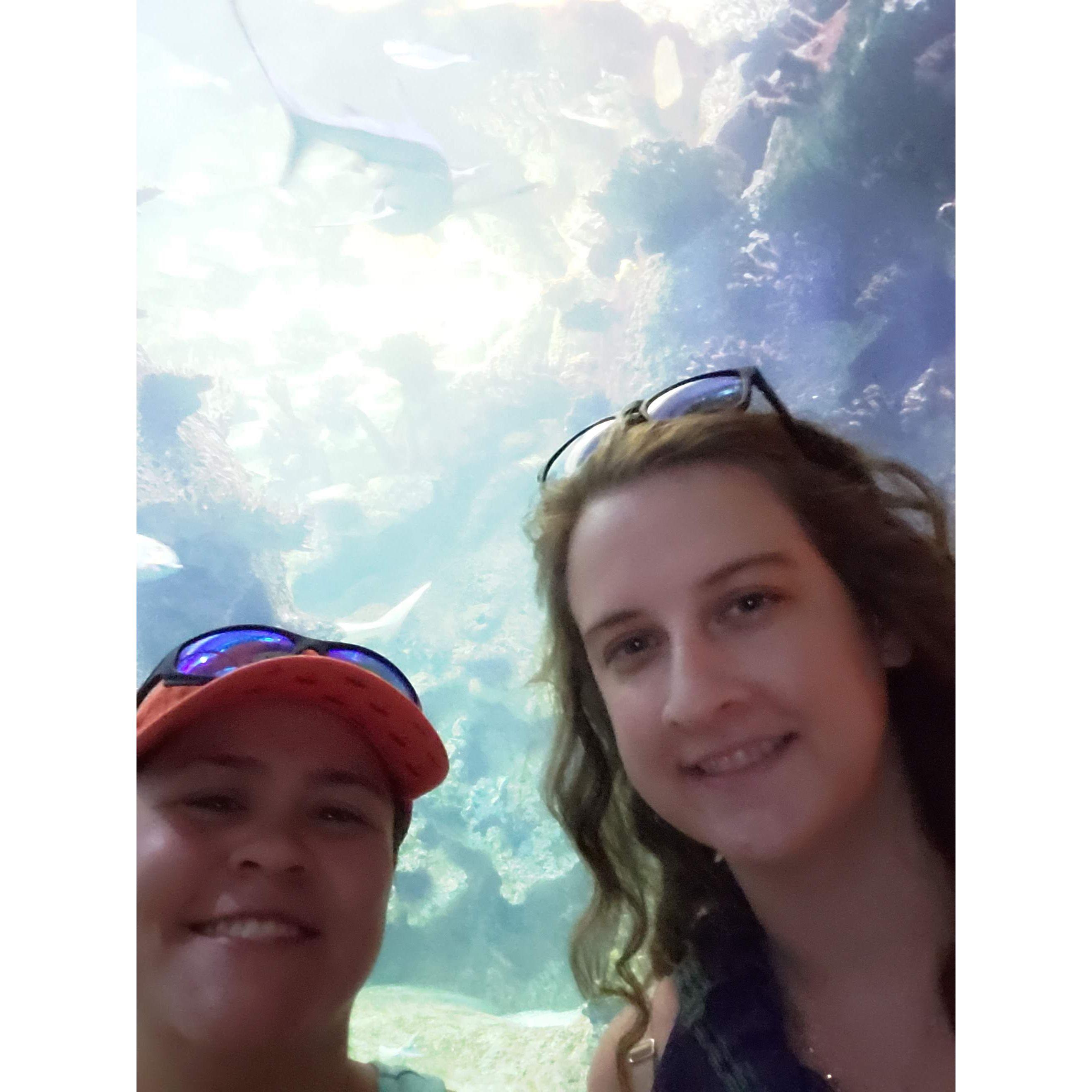 Aquarium in Las Vegas.