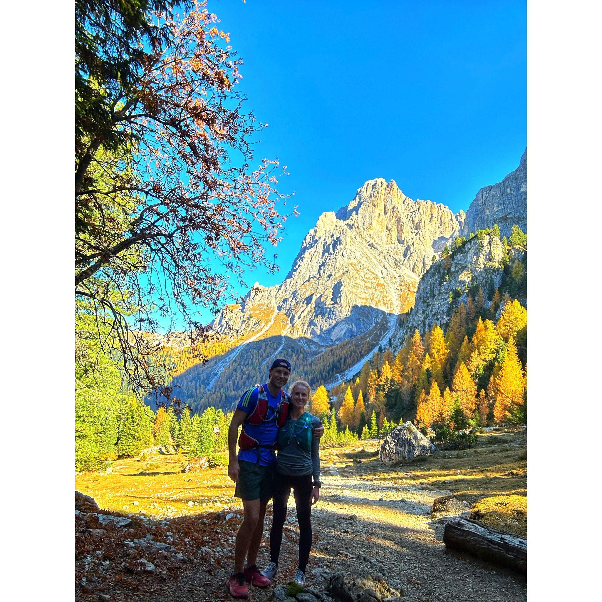 Dolomites foliage