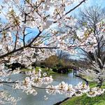 Missouri Botanical Garden