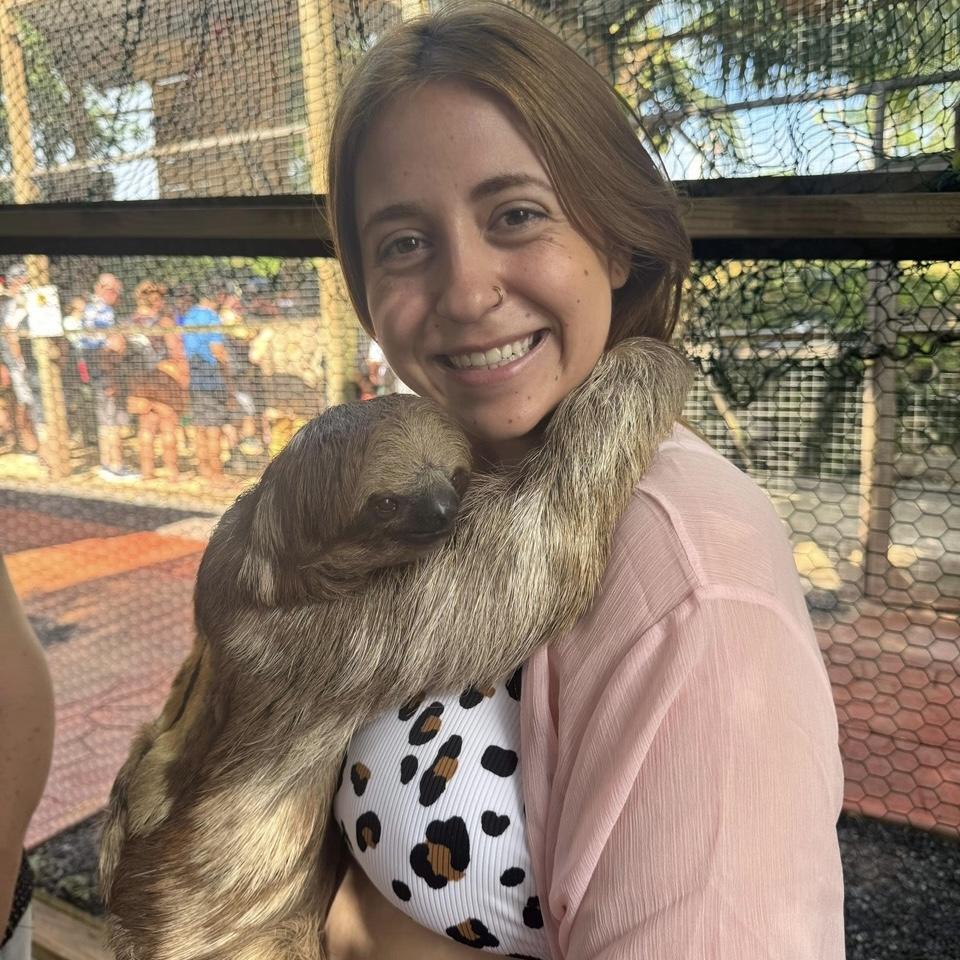 While on our cruise we had the amazing opportunity to hold a pair of sloths.