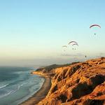 Torrey Pines State Reserve