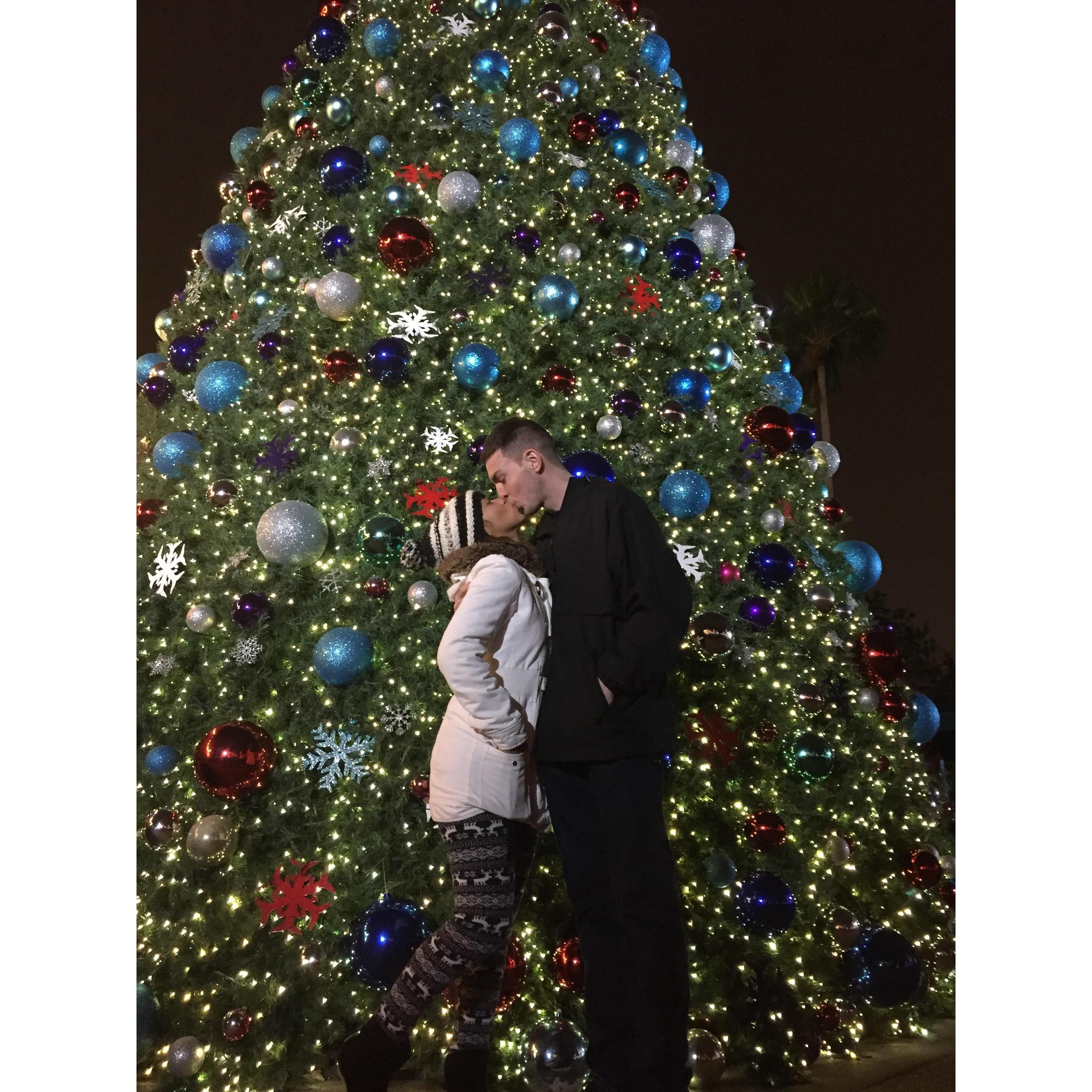 Sea World for Christmas 2017