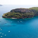 Island Dino