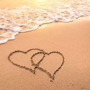 Honeymoon Fund