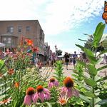 West Bend Farmers Market