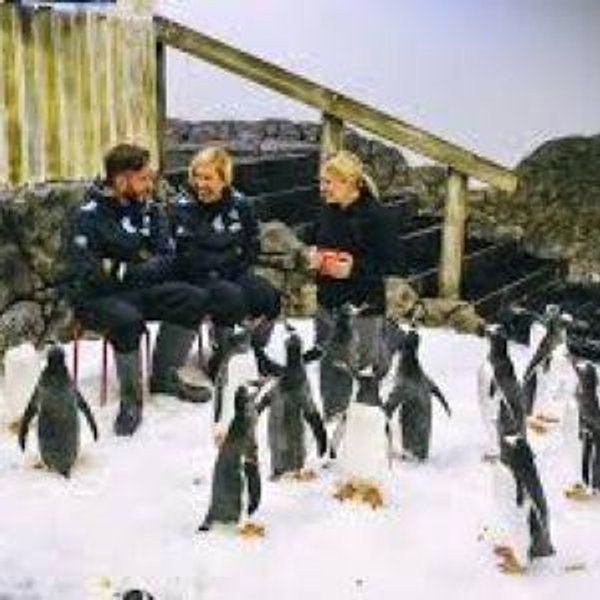 Sydney Aquarium with Penguin experience