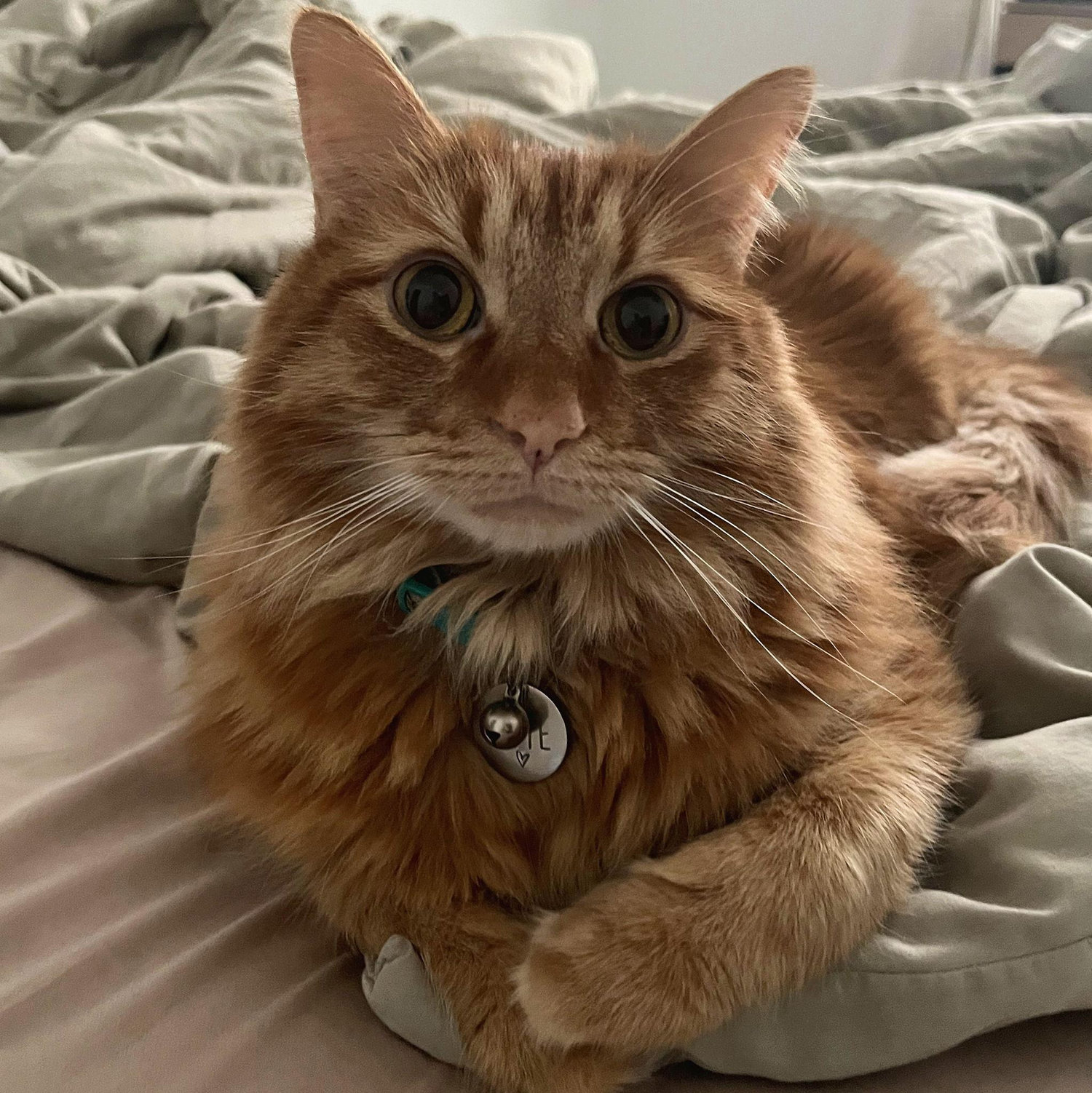 Opie