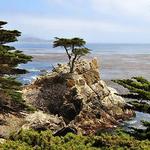 17 Mile Drive
