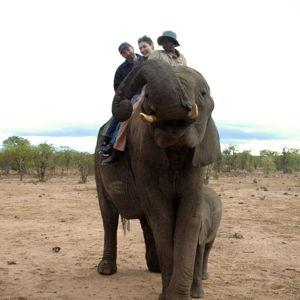 Africa Fund (Credit Card)