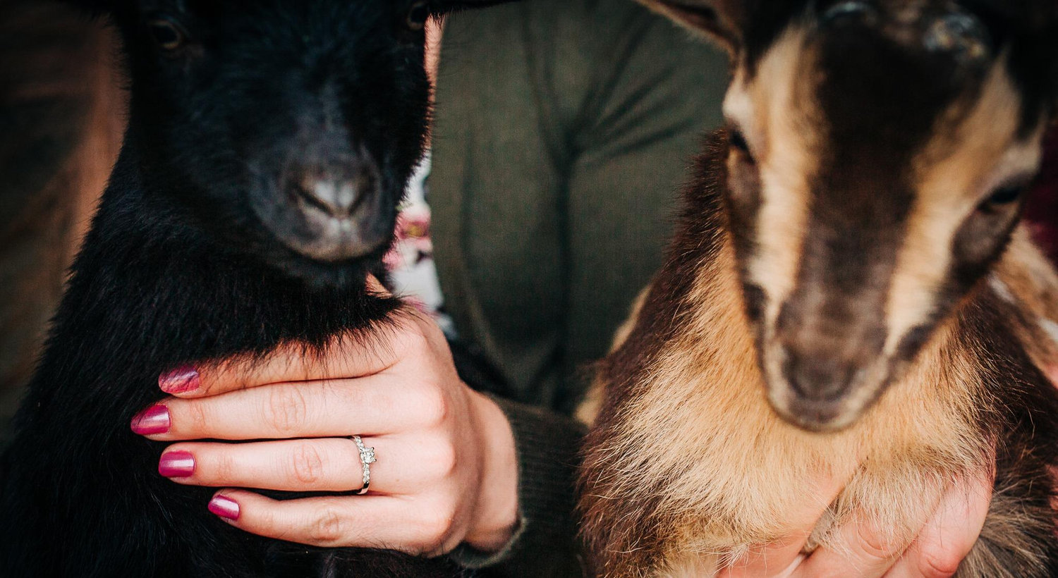 Footer image