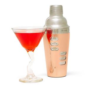 Mixology Cocktail Shaker