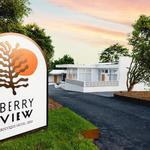The Berry View