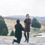 Stone Tower Winery
