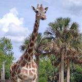Jacksonville Zoo and Botanical Gardens