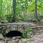 Weetamoo Woods & Pardon Gray Preserve