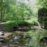 White Pines Forest State Park