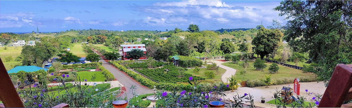 The Wedding Website of Angeliz Perez and Michael Lopez