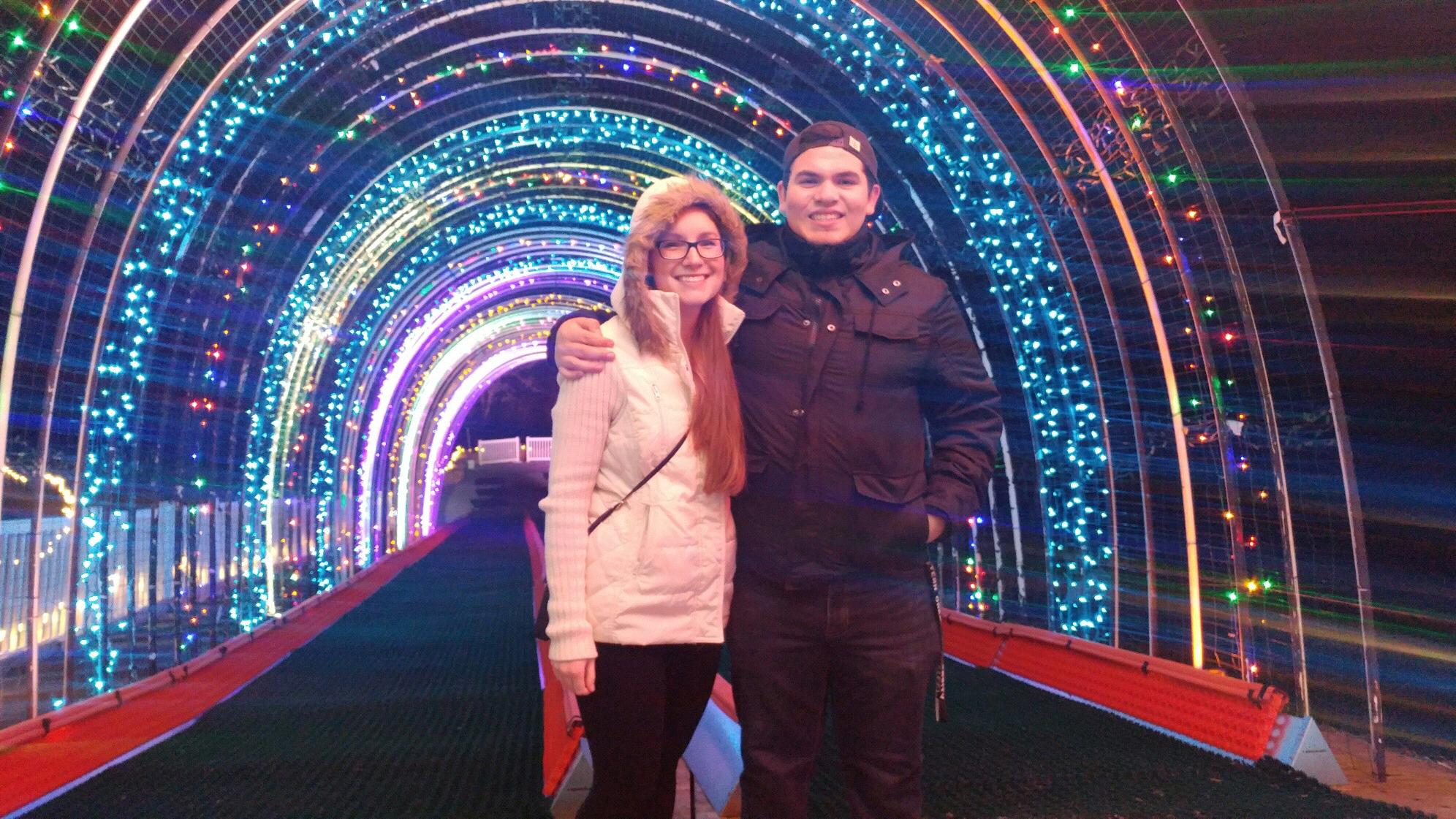Christmas in the Garden, 2017