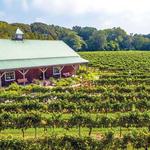 Cape May Winery