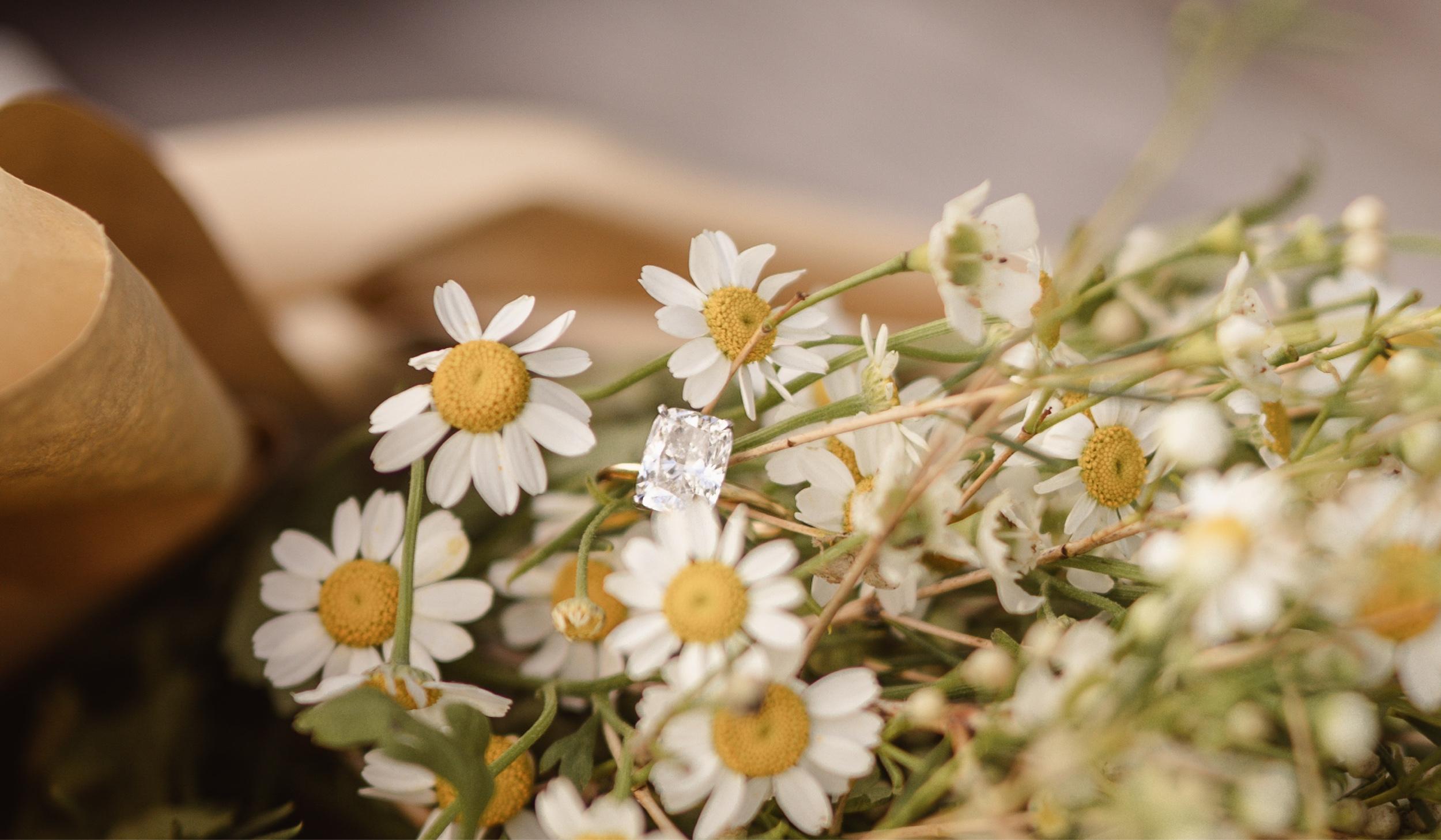 The Wedding Website of Joslyn Nancy Barnhart and Seth James Nightingale