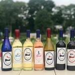 Cape Cod Winery