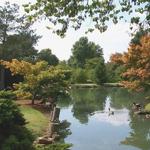 Mizumoto Japanese Stroll Garden