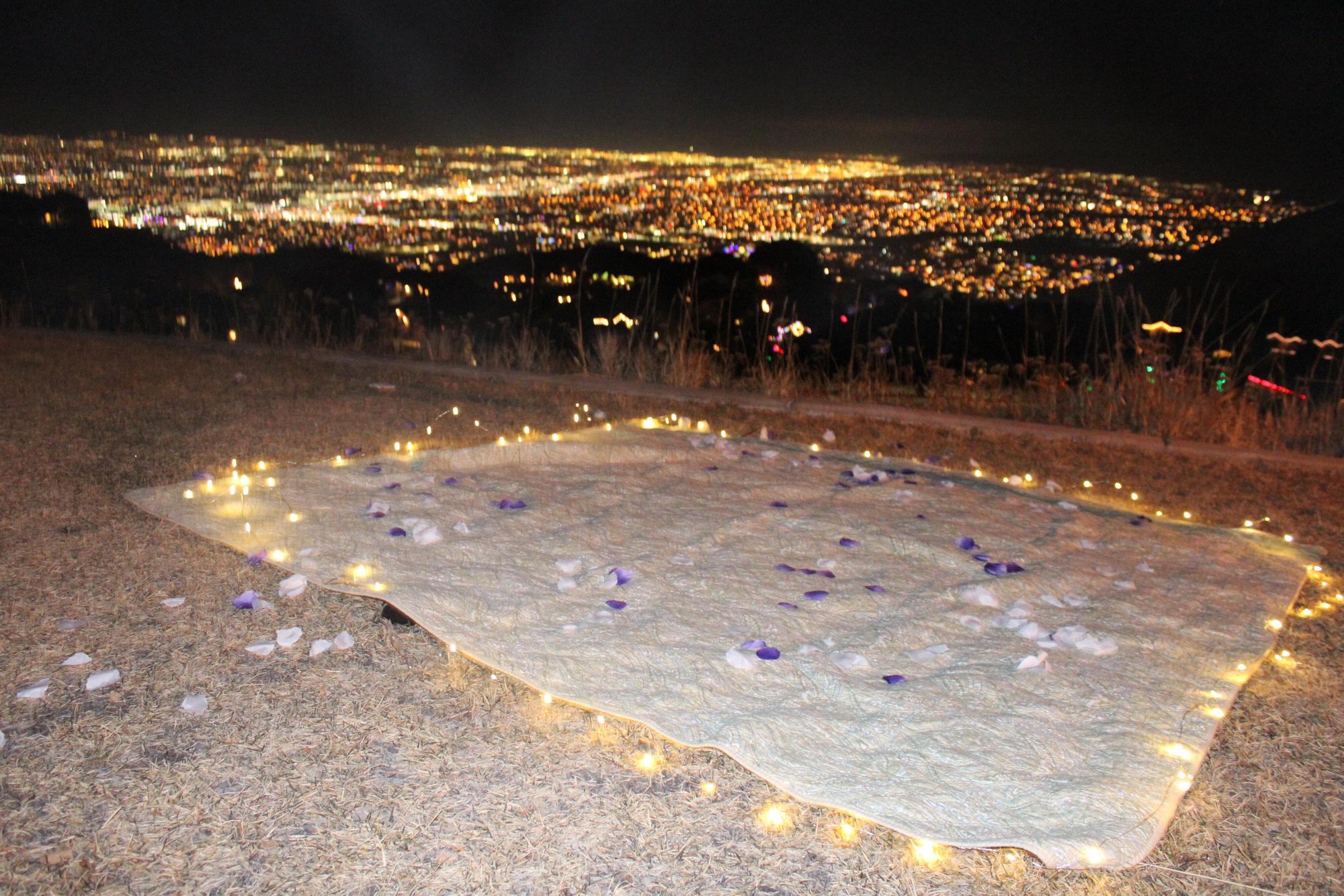 The view from the proposal.