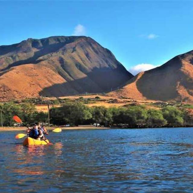 Kayaking with Dolphins