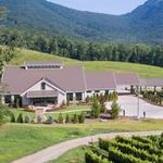 Yonah Mountain Vineyards